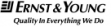 logo Ernst & Young, s.r.o.