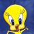 pet-tweety