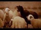 The KLF - What Time Is Love (Pure Trance)