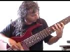 Flight Of The Bumblebee on a 7strings bass