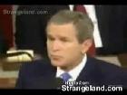 Bush Beat Box
