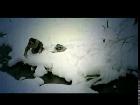 Amon Amarth - Guardians of Asgaard