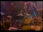 Led Zeppelin - Pennyroyal Tea