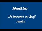 Zdeněk Izer Nemocnice na kraji vesnice (část 1.)