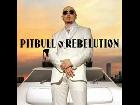 Pitbull - Akon - Shut It Down + text