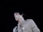 Beatles - Beatles at Shea Stadium (8) - Act Naturally