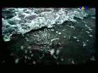 Watching The Waves