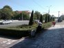 Tiraspol. Okopávači zeleně