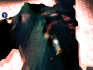 Darwinia