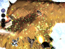 Darwinia