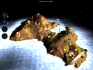 Darwinia