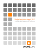 Studie e-shopů 2011