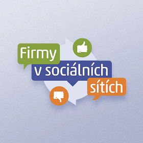 Logo Firmy v sociálních sítích 2013