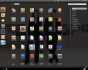 Linux Mint 12