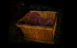 Trauma