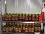 Farma Rudolec