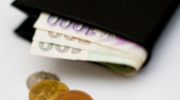 obr�zek k �l�nku Co nov� vl�da ud�l� s va�� pen�enkou?