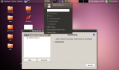 Ubuntu 10.04