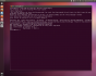 Unity 4.24
