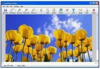 FastStone Capture - editor