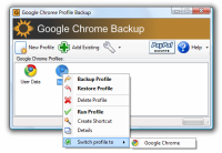 Google Chrome Backup