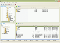 Freewarový nebo komerční vypalovací program?
