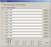 IrfanView - kopírování