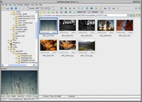FastStone Image Viewer - okno programu FastStone Image Viewer - okno programu