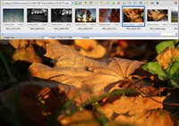 FastStone Image Viewer - fullscreen FastStone Image Viewer - fullscreen