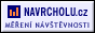 Sv�tlemodr�, varianta 2, 88x31 px