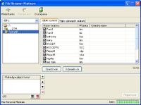 File Renamer Platinum