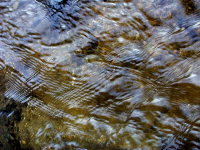 Interference