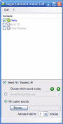 Extended Online Call for Skype