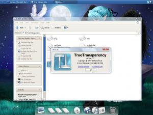 True Transparency