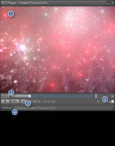 FLV Player