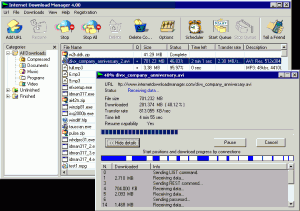 Internet Download Manager