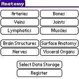 Anatomy Bundle