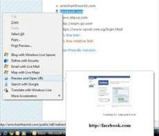 Preview and Launch URL