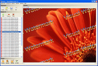 Visual Watermark