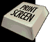 Screen Print Gold