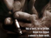 Ku� po��dn�!
