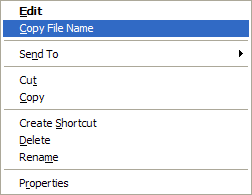 Copy File Name