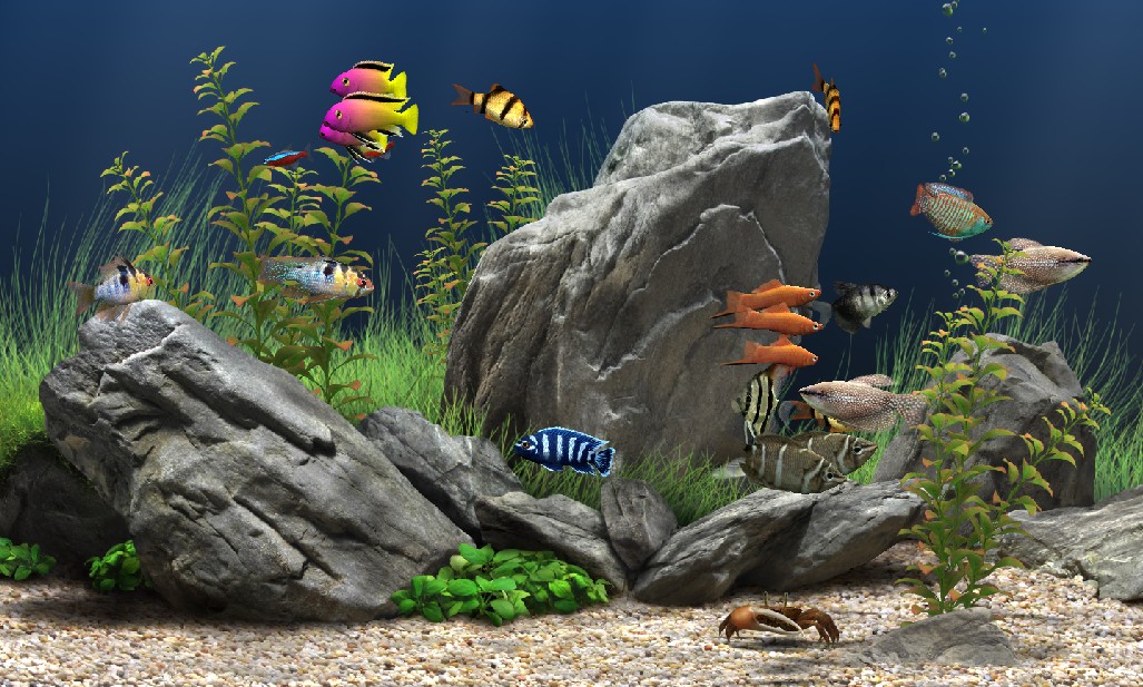 dream aquarium freeware