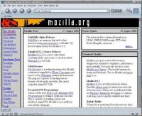 Mozilla skin