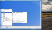 VMware player