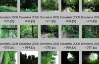 �prava fotografi�
