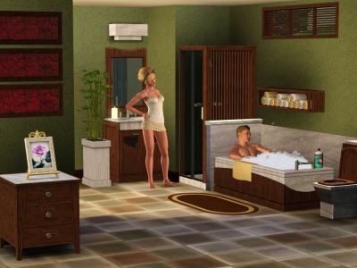The Sims 3 P�epychov� lo�nice