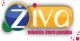 TV2 �iva 2009