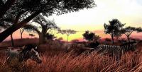 Far Cry 2