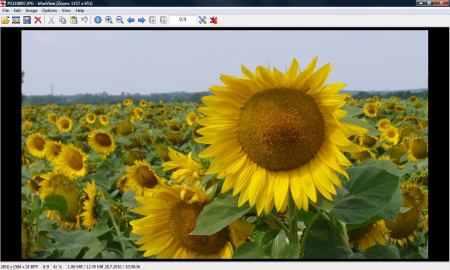 IrfanView